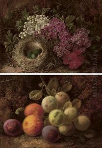 A Bird's Nest And Hawthorn Blossom (+ Plums And Greengages; Pair) A Bird's Nest And Hawthorn Blossom (+ Plums And Greengages; Pair)