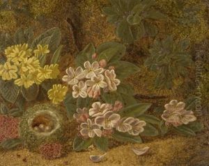 Still Life With Flowers And Birds Nest