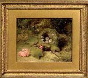 A Bird's Nest On The Forest Floor by George Clare