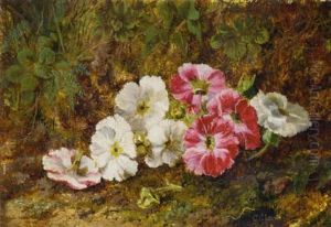 Pelargoniums On A Mossy Bank Pelargoniums On A Mossy Bank