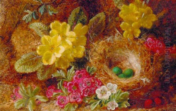 Primroses And Primulas With A Bird's Nest With Eggs On A Mossy Bank - view 1