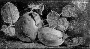 Quinces