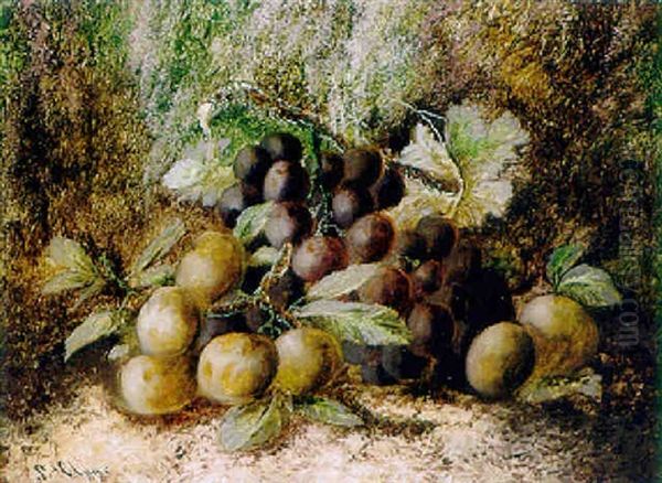 Fruchtestilleben Auf Waldboden - view 1
