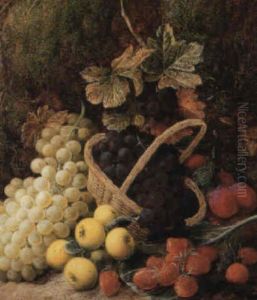 Summer Fruits