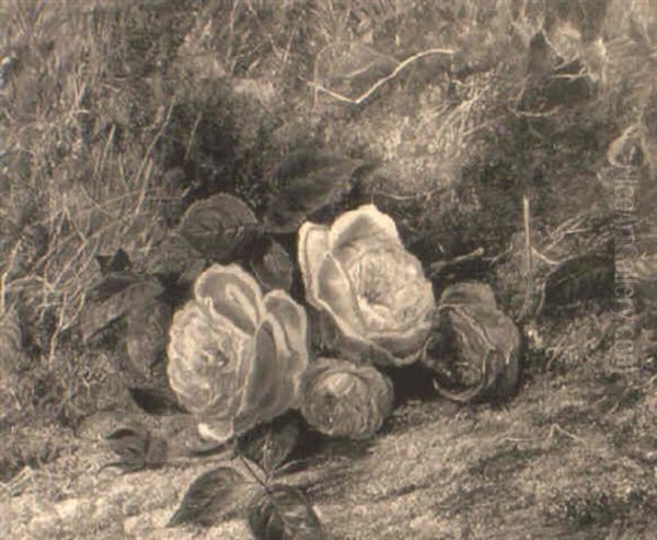 Red And White Roses On A Mossy Bank - view 1