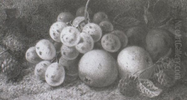 Summer Fruits - view 1