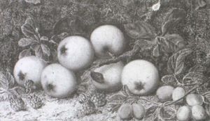 Apples, Raspberries And Plums By A Mossy Bank Apples, Raspberries And Plums By A Mossy Bank