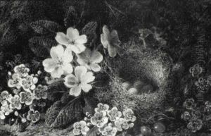 Still Life With Blossom And A Bird's Nest; Still Life With Apples, Plums And Raspberries by George Clare