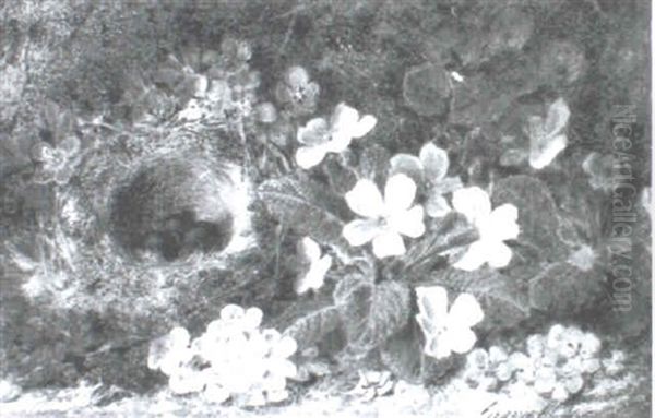 Still Life With Fruits - view 1
