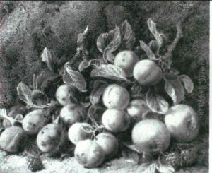 Plums, Raspberries And Apples On A Mossy Bank [&] A Birdsnest With Primroses, Violets And Rosehips On A Bank