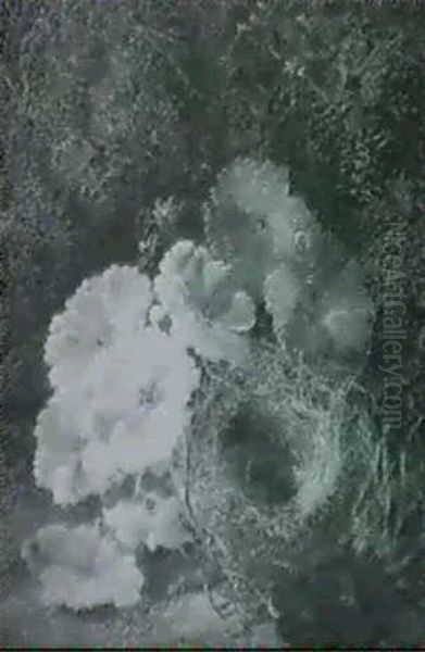 Still Life Of A Bird's Nest; Still Life With Fruit - view 1