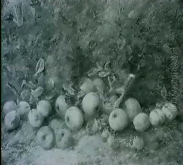 Still Life, Apples, Plums And Strawberries, On A Mossy Bank - view 1