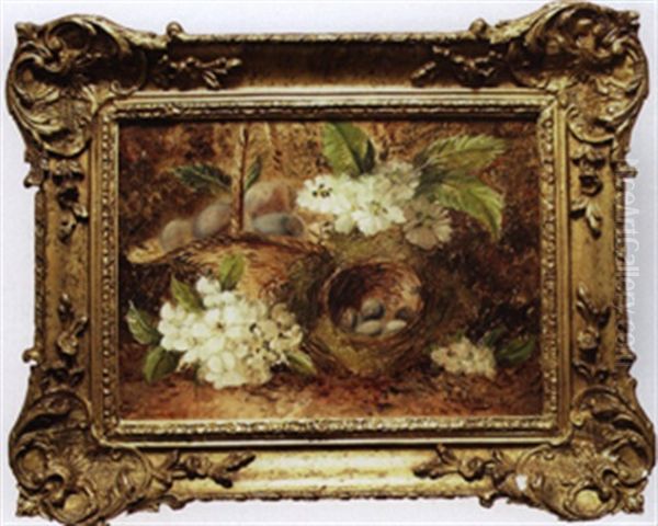 Still Life With Robins Nest And Flowers - view 1