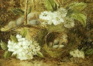Still Life With Robins Nest And Flowers by Joseph Clare