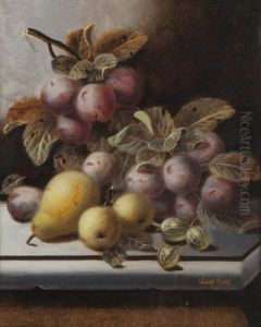 Still Lifes Of Fruit On A Stone Ledge Still Lifes Of Fruit On A Stone Ledge