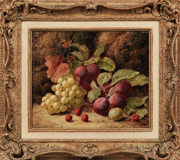 Fruit Still Life On A Mossy Bank - view 1