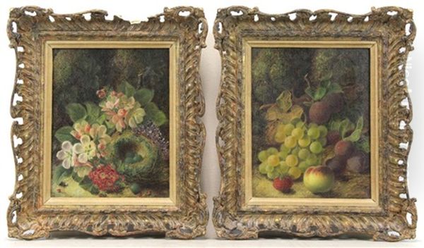 Bird's Nest With Flowers & Fruit In Landscape - view 1