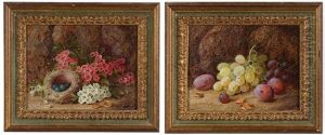 Bird's Nest With Flowers And Still Life With Grapes And Plums (2) by Oliver Clare