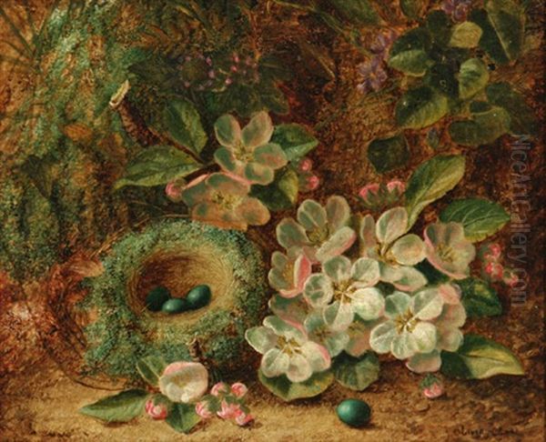Moss Lined Robin's Nest With Eggs And Apple Blossoms - view 1
