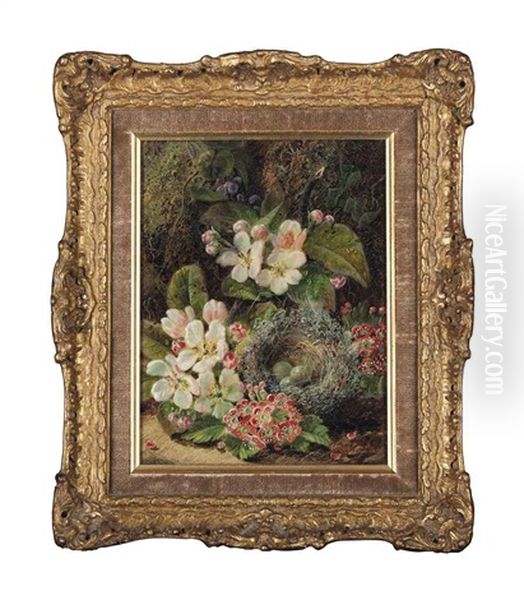Bird's Nest And Primula And Plums, Gooseberries And A Raspberry (pair) - view 1