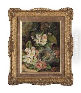 Bird's Nest And Primula And Plums, Gooseberries And A Raspberry (pair)