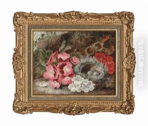 Primroses And An Egg Nest On A Mossy Bank