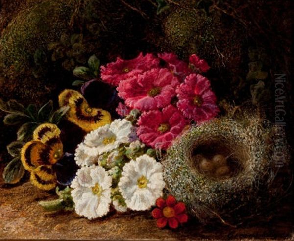 Primulas And A Bird's Nest On A Mossy Bank - view 1