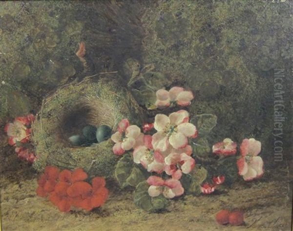 A Still Life Of A Bird's Nest And Flowers On A Bank - view 1