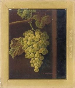 White Grapes (+ Red Grapes; Pair)