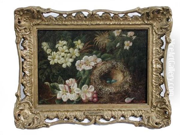 Bird's Nest With Primroses And Dog Roses On A Bank (study) - view 1