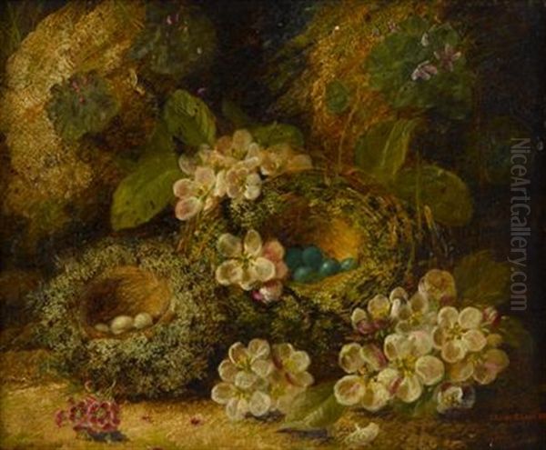 Primroses And Birds Nests On A Mossy Bank - view 1