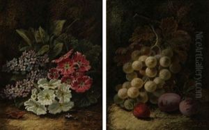 Still Life With Flowers (+ Still Life With Fruit; Pair) by Oliver Clare