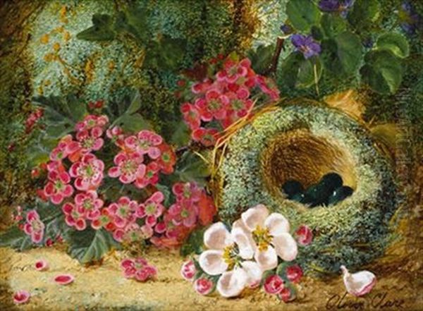 Flowers And A Bird's Nest On A Mossy Bank - view 1