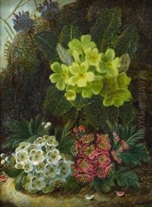 Primroses And Blossom by Oliver Clare