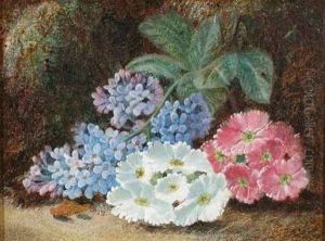 Lilac And Primula Lilac And Primula