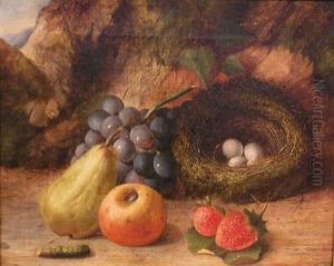 Still Life With Fruit And Bird's Nest by Oliver Clare