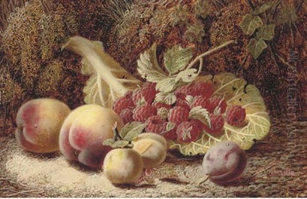 Plums, Raspberries And Peaches On A Mossy Bank - view 1