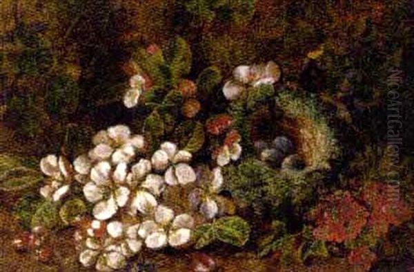 Blossom And A Bird's Nest On A Rocky Bank - view 1