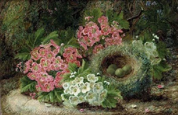 Blossom And A Bird's Nest With Eggs, On A Mossy Bank - view 1