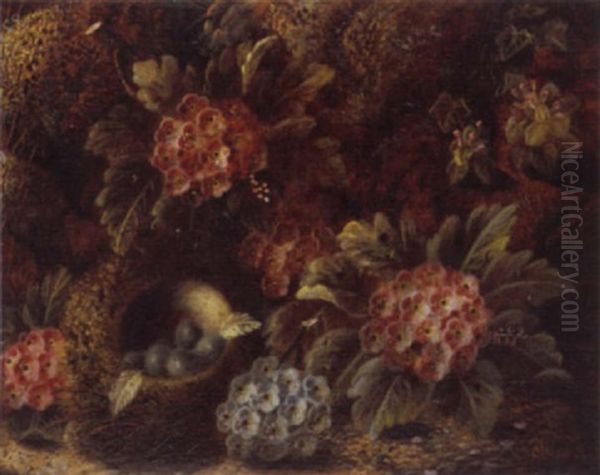 Still Life Of Bird's Nest And Flowers - view 1