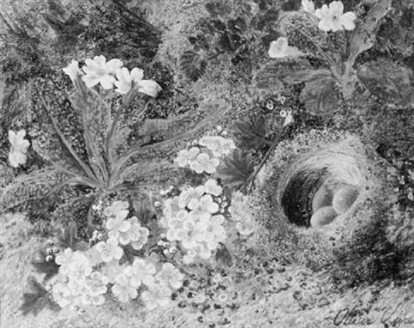 Nest Of Eggs On A Forest Floor - view 1