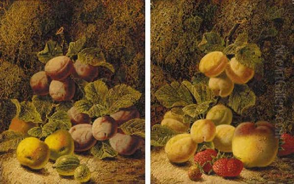 Plums, Apples And Gooseberries On A Mossy Bank - view 1