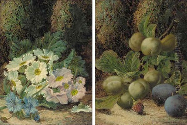 Plums And A Raspberry On A Mossy Bank - view 1