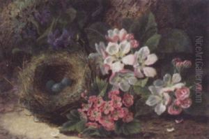 Still Life With Robin's Eggs And Flowers Still Life With Robin's Eggs And Flowers
