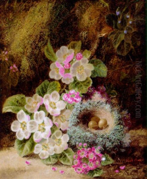 Primulas, Apple Blossom And A Bird's Nest On A Mossy Bank - view 1