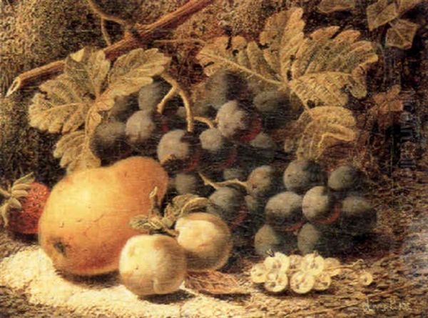 Still Life With Grapes, Plums, A Pear And Other Fruit On A Mossy Bank - view 1