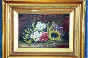 Flowers With Bird's Nest