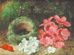 Bird's Nest And Flowers by Oliver Clare