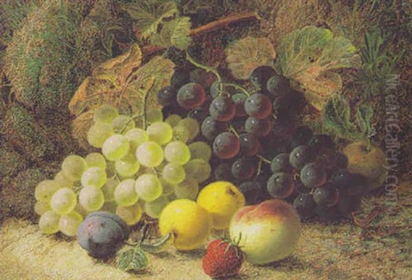 Still Life With Grapes, Apples And Other Fruit On A Mossy Bank - view 1