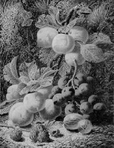 Still Life Of Plums, Grapes, Raspberries And Gooseberries On A Bank by Oliver Clare